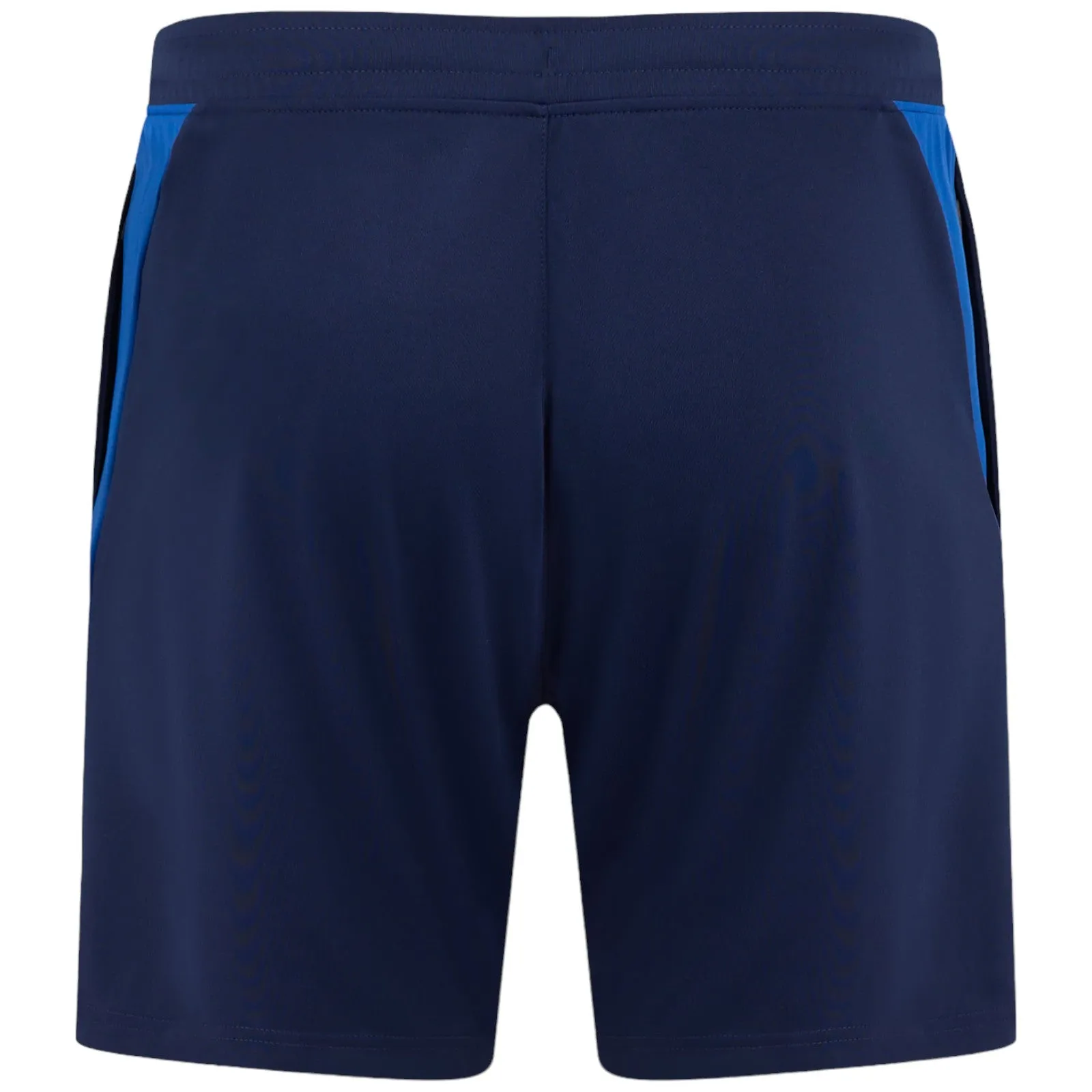 Castore Leinster 2024/25 Pro Training Gym Shorts