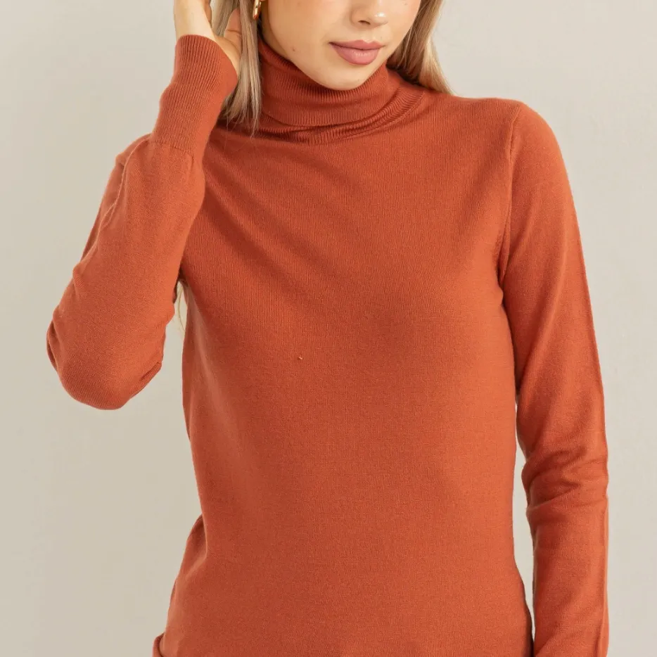 Chic Position Turtleneck Fitted Sweater Top