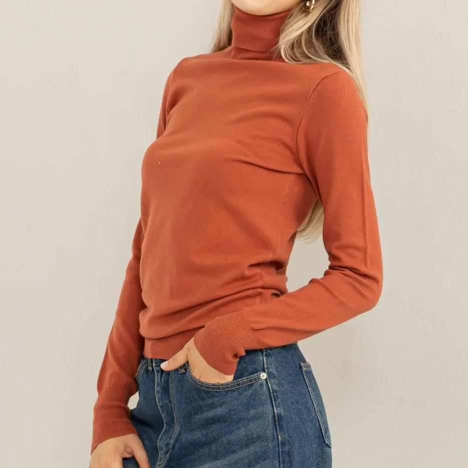 Chic Position Turtleneck Fitted Sweater Top