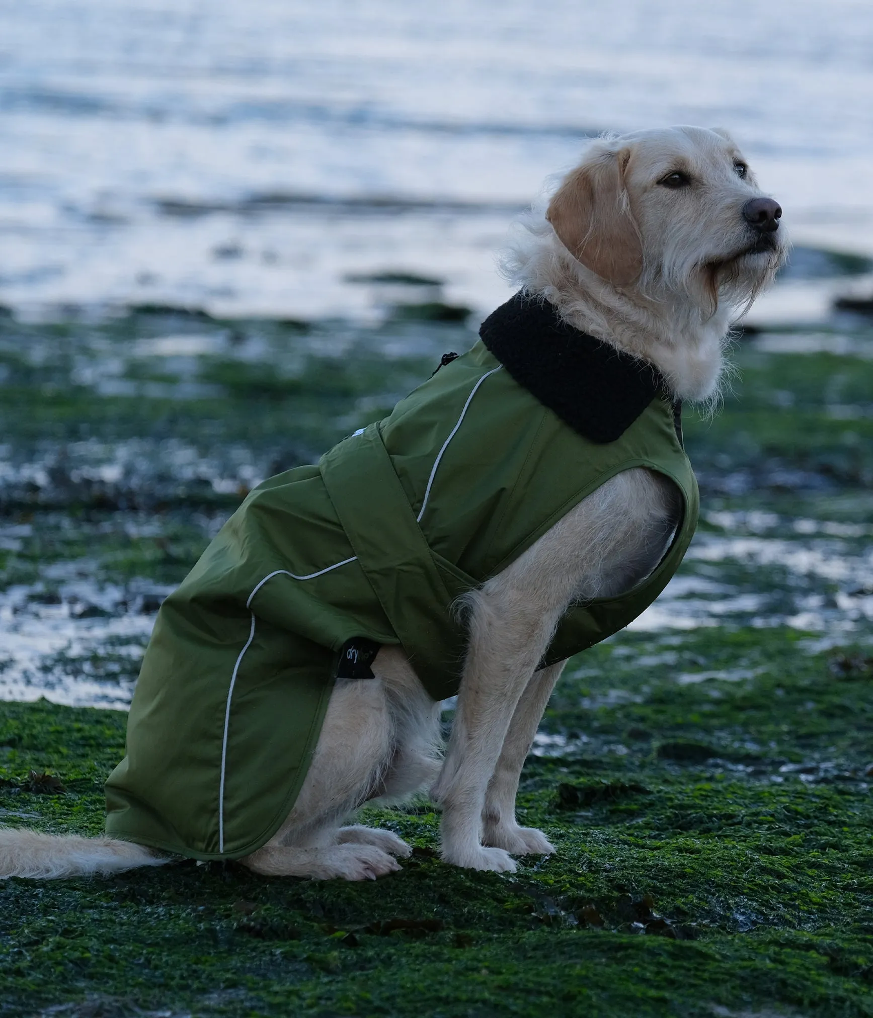 Dryrobe Dog Jacket (Dog Robe)