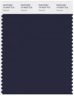 Pantone Smart 19-3920 TCX Color Swatch Card | Peacoat